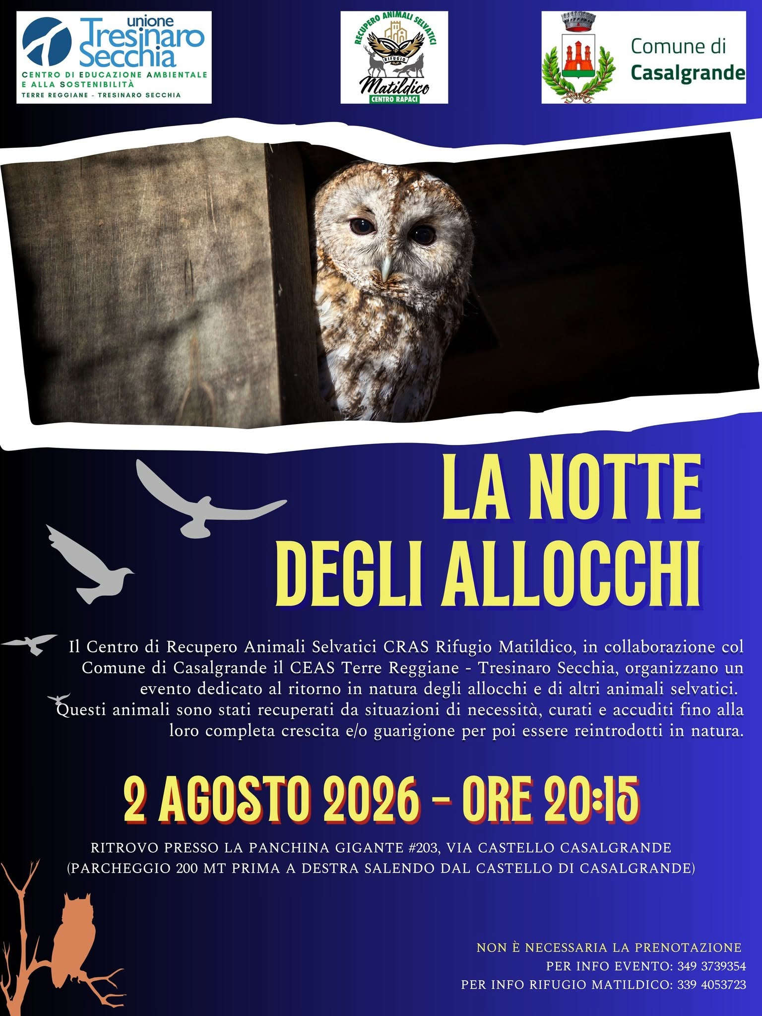La Notte degli Allocchi – Rilascio in natura di animali selvatici, Casalgrande, 2 Agosto 2026